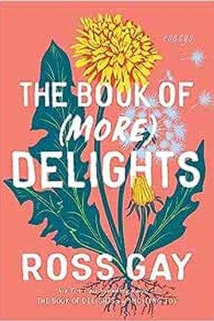 The Book of (More) Delights: Essays - book cover