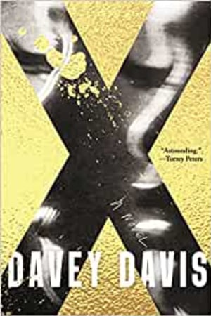 X: A Novel book cover