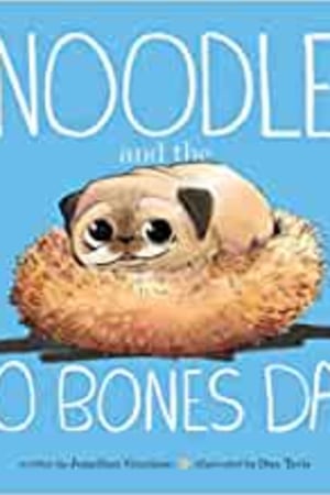 Noodle and the No Bones Day book cover