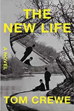 The New Life: A Novel - book cover