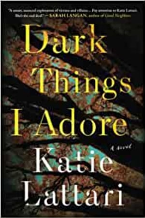 Dark Things I Adore - book cover