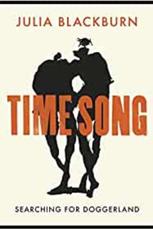 Time Song - book cover