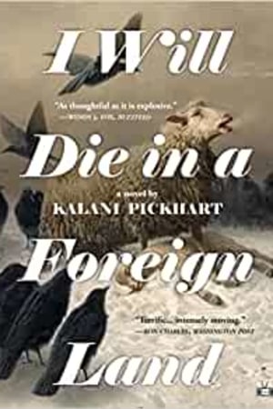 I Will Die in a Foreign Land - book cover
