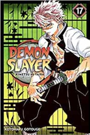 Demon Slayer: Kimetsu no Yaiba, Vol. 17 (17) book cover