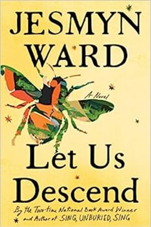 Let Us Descend: A Novel - book cover