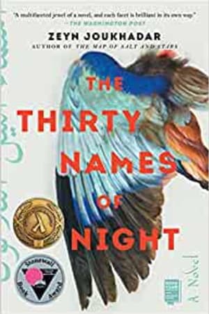 The Thirty Names of Night: A Novel book cover