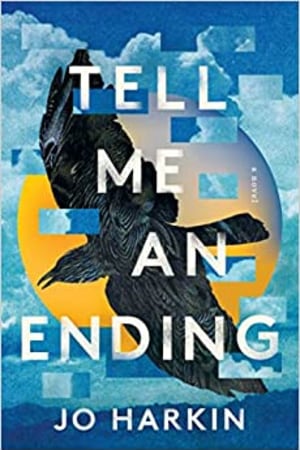 Tell Me an Ending: A Novel book cover