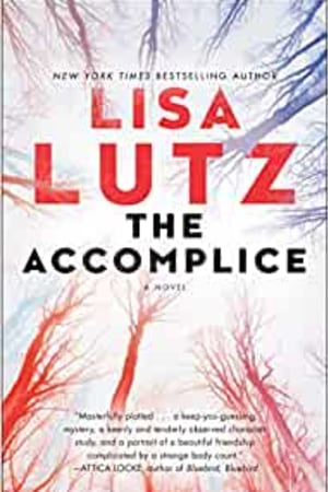 The Accomplice: A Novel - book cover