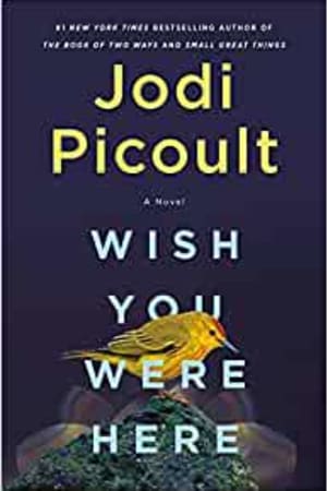 Wish You Were Here: A Novel book cover