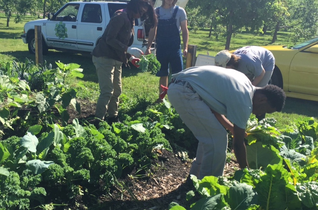 green corps 2015agriculture