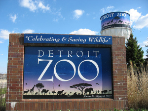 detroitzoo1