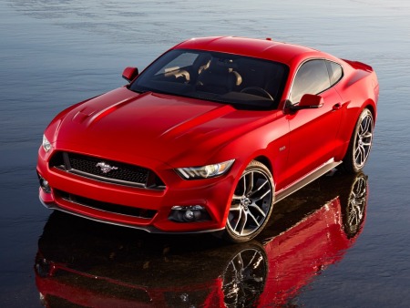 mustang.jpg.jpg