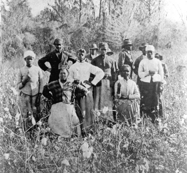 slaves_in_cotton.jpg