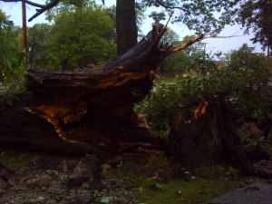 storm-damage-7mile-woodward006-070512