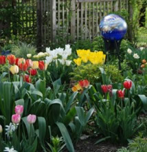 Plant Now for Spring Image