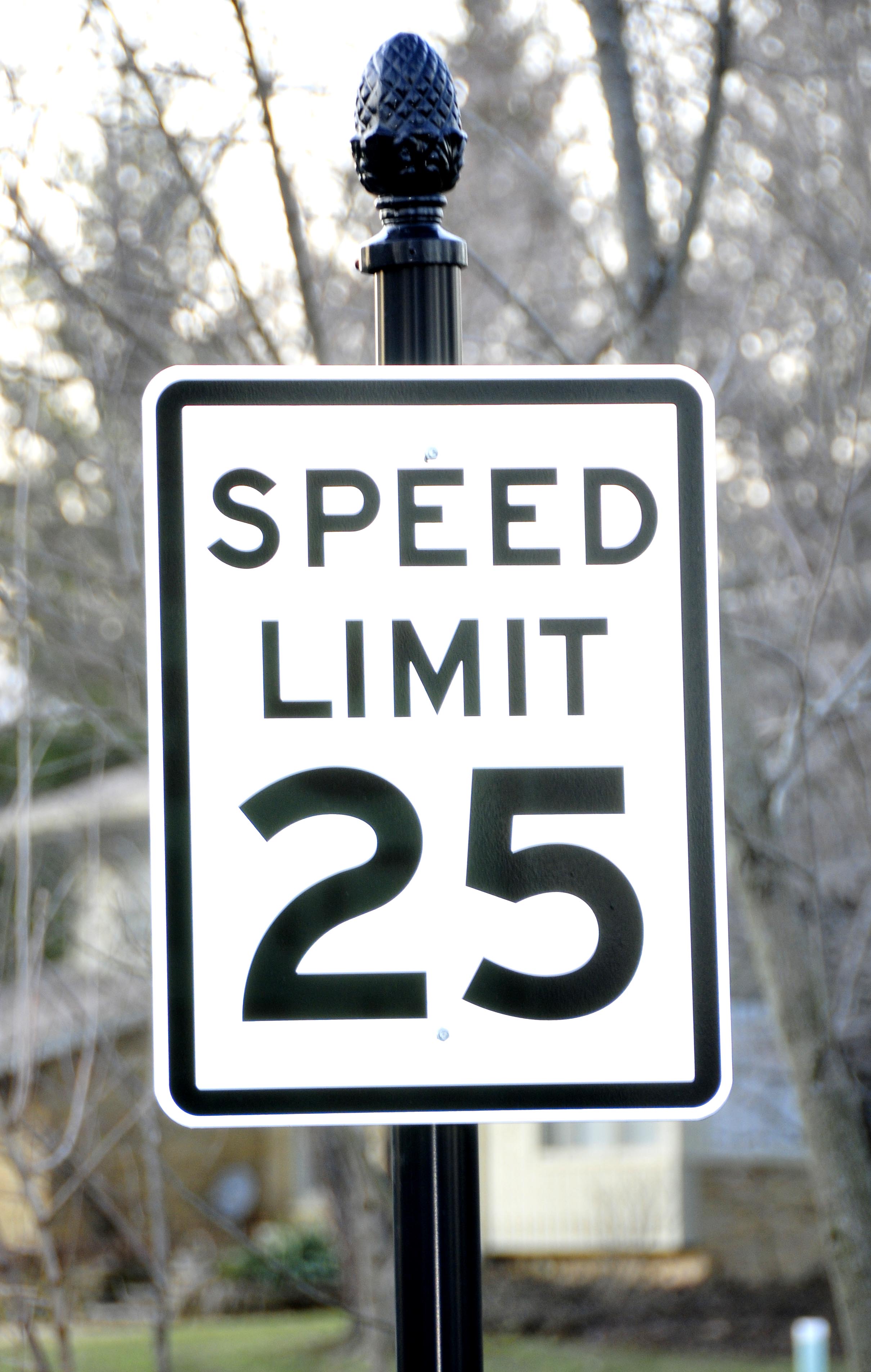 Speed_Sign