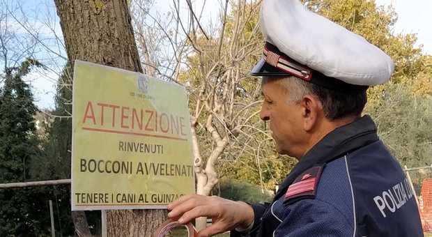 Truffling Etiquette – The Unwritten Laws For Hunters