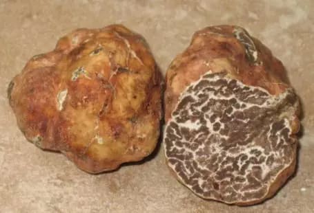white truffles
