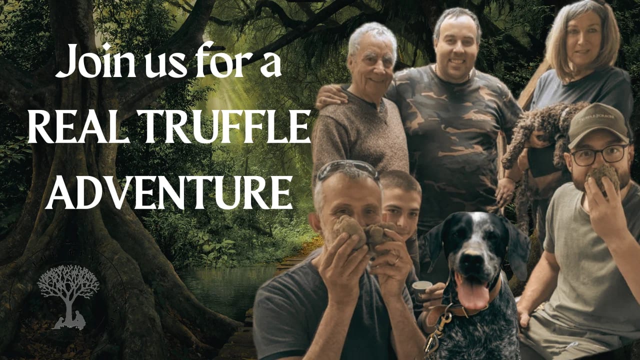 Real Truffle Adventures
