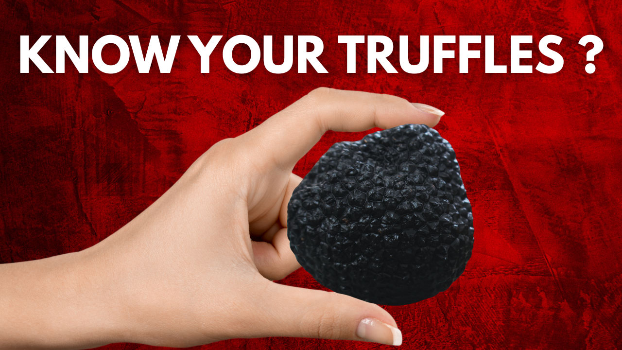 The European Truffle Species – Video