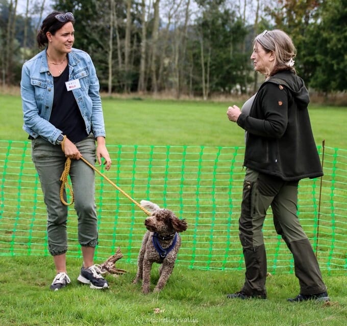 In-person dog training session in the UK