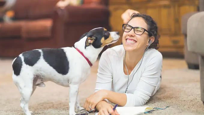 a woman is journaling her training progress, the dog watches on