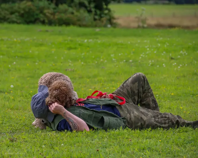 relaxing with a lagotto romagnolo after the truffle dog training workshop