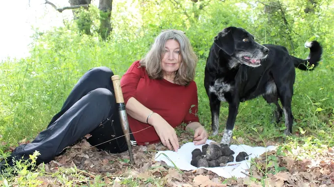 land survey finding black summer truffles