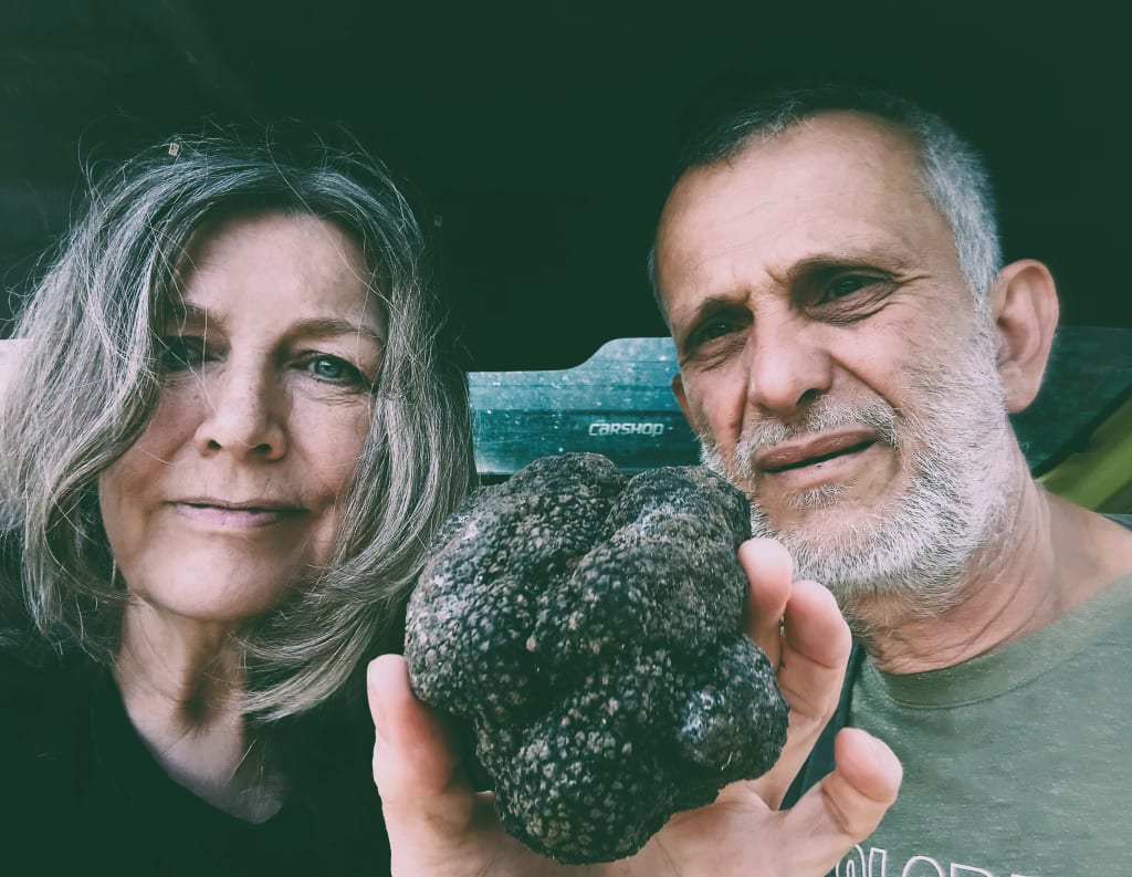 What We Learned When Truffles Began to Disappear