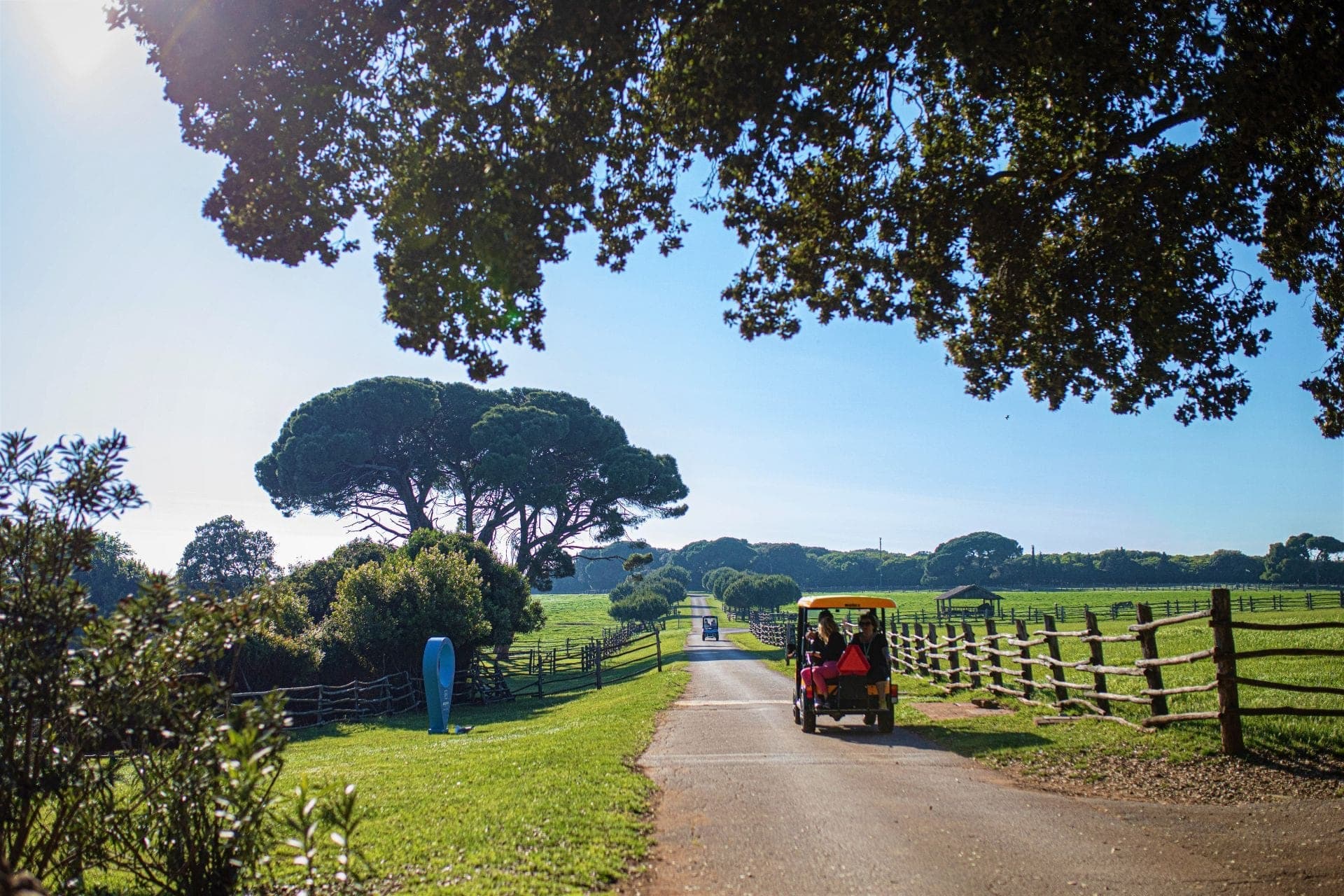 Trip to Brijuni National Park