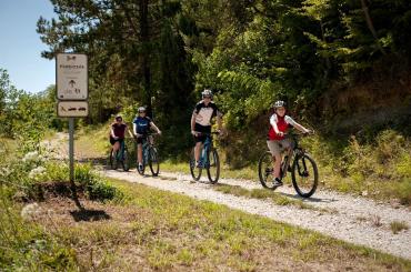 Cycling through the hills and towns of Istria