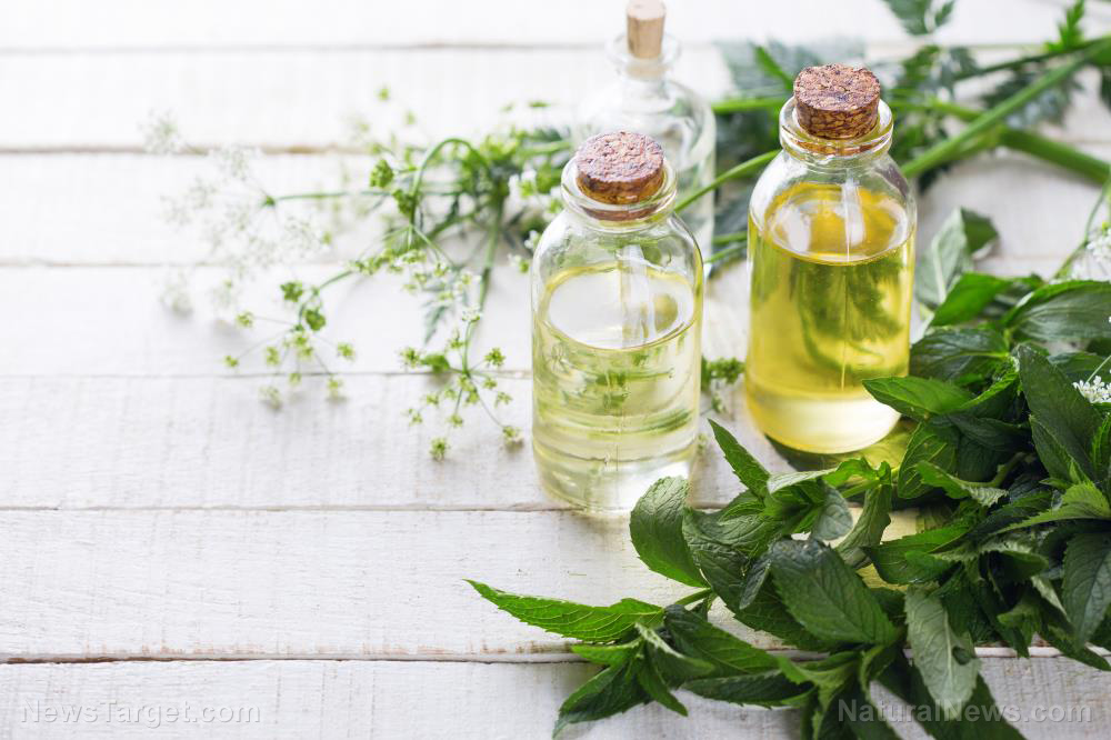 7 essential oils that can ease breathing