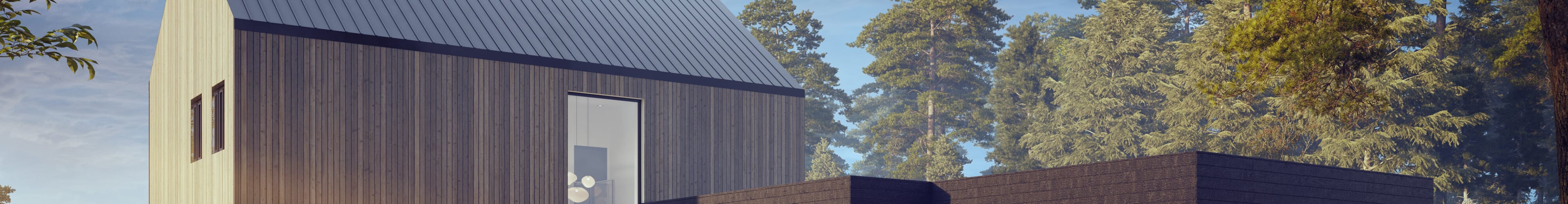 House CGI Services