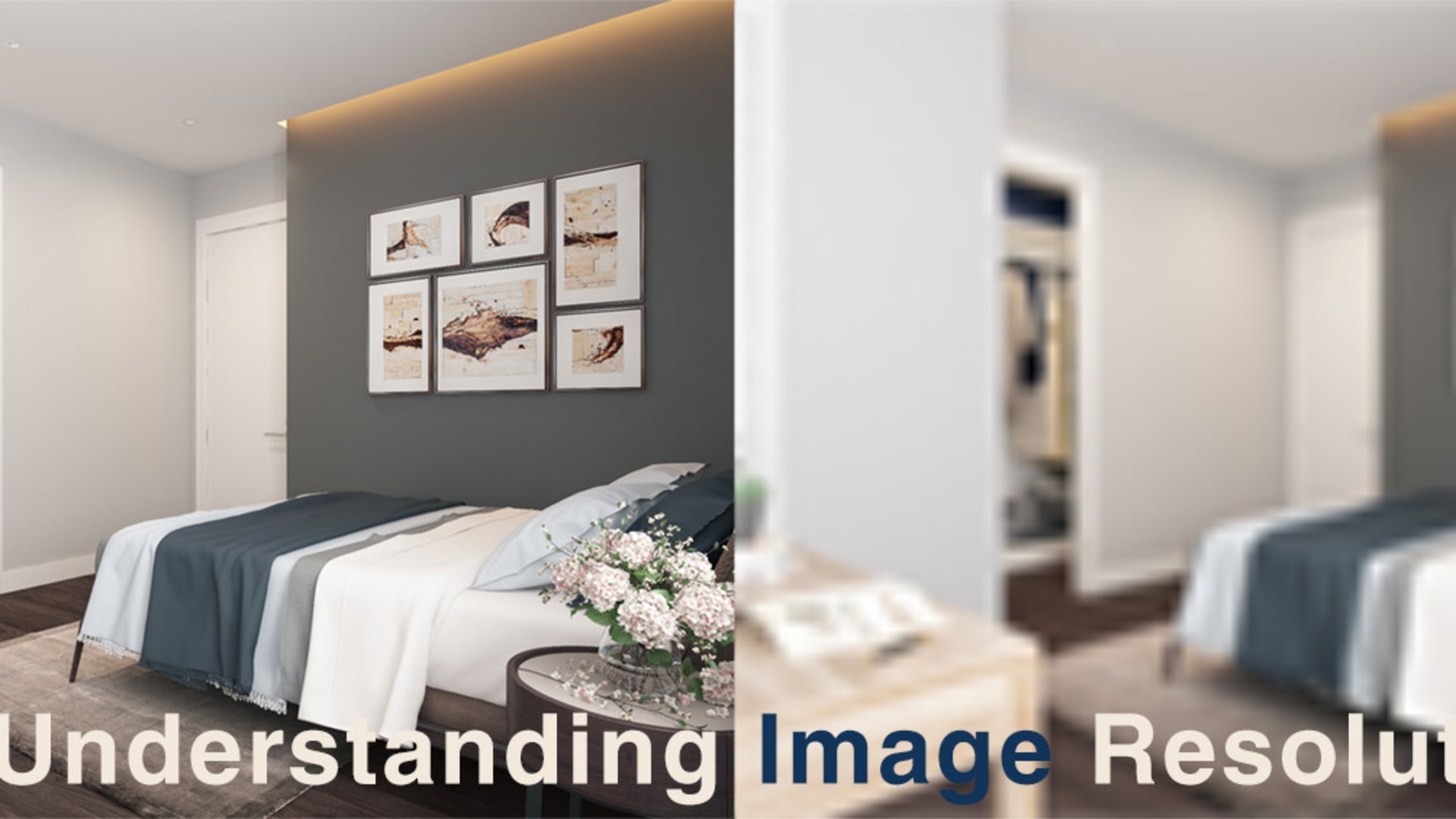 Understanding 3D Rendering and Animation Image Resolution