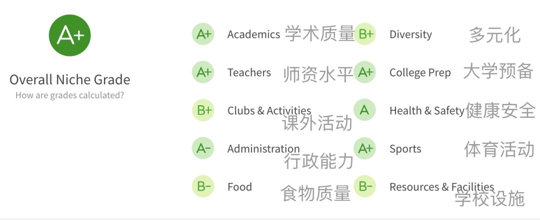 Niche评分系统