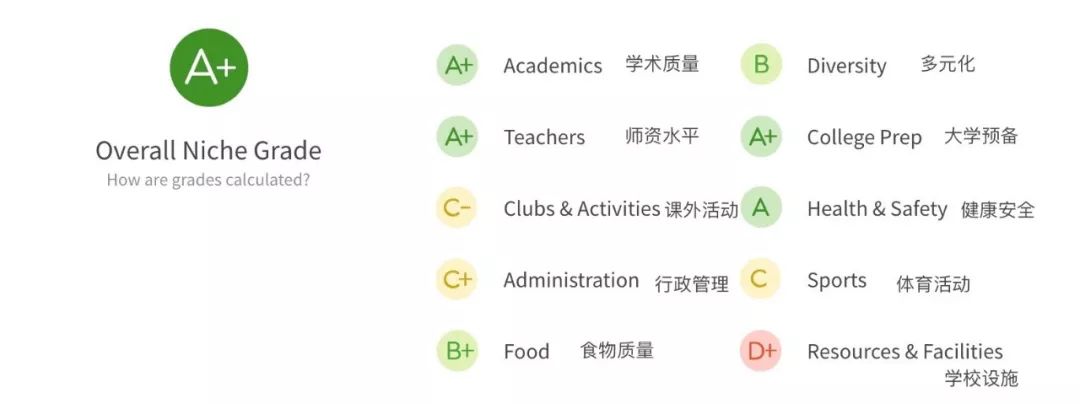 Niche评分系统