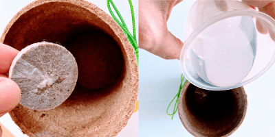 Adding Your Pellet and Water to Spring Planter!