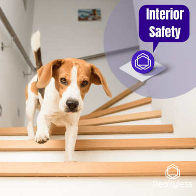 Interior safety for your dog!