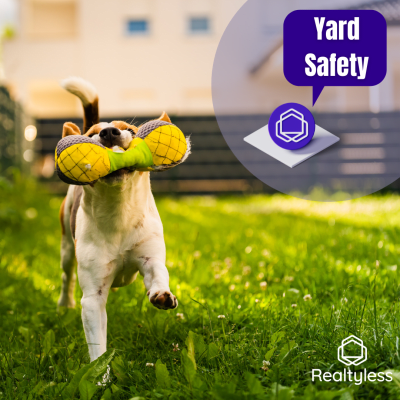 Yard safety for your dog!