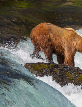 Cuándo viajar a Alaska