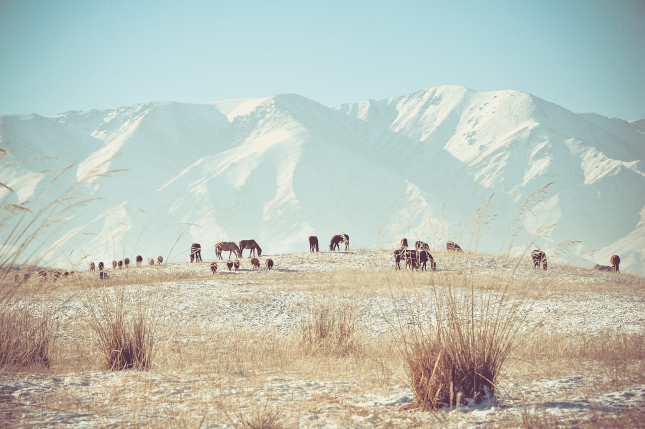 Kazakhstan