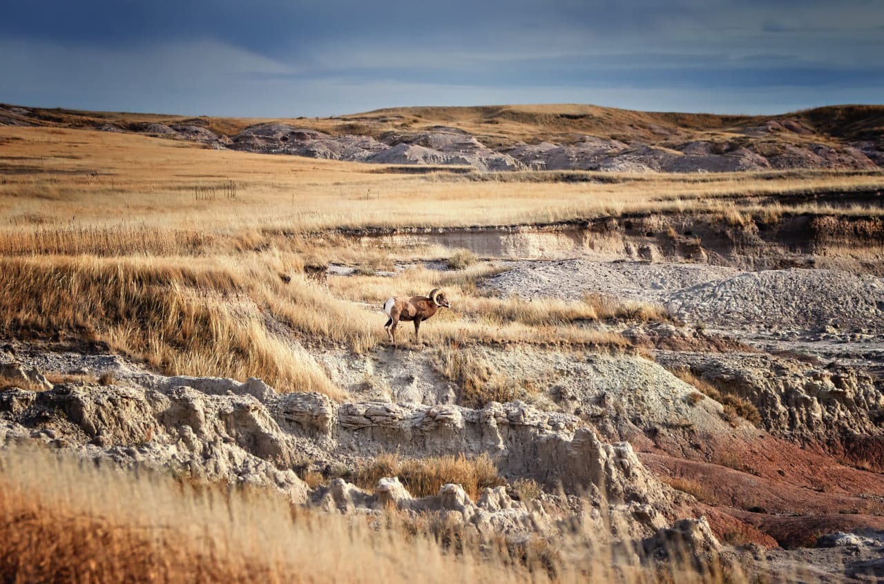 South Dakota