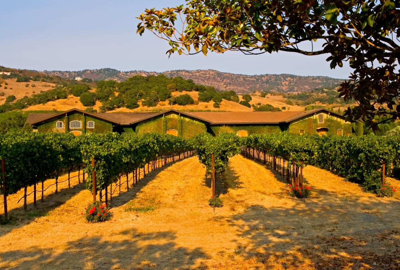 napa valley walking tour