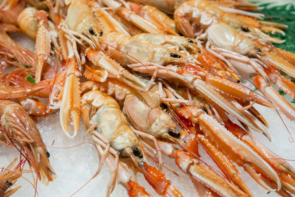 Lobster Season in Iceland 2018 Rove.me