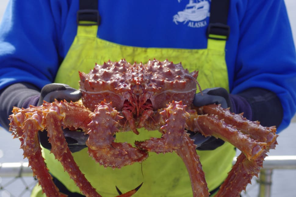 King Crab Season in Alaska 2018 Rove.me