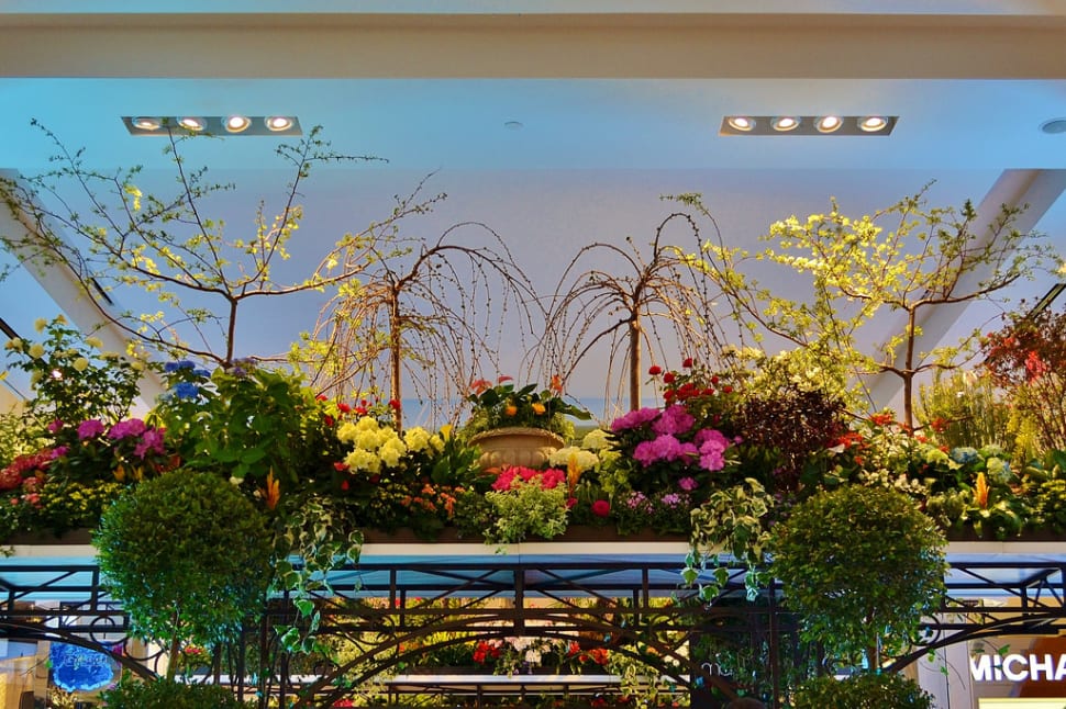 Macy's Flower Show 2018 in New York Dates & Map