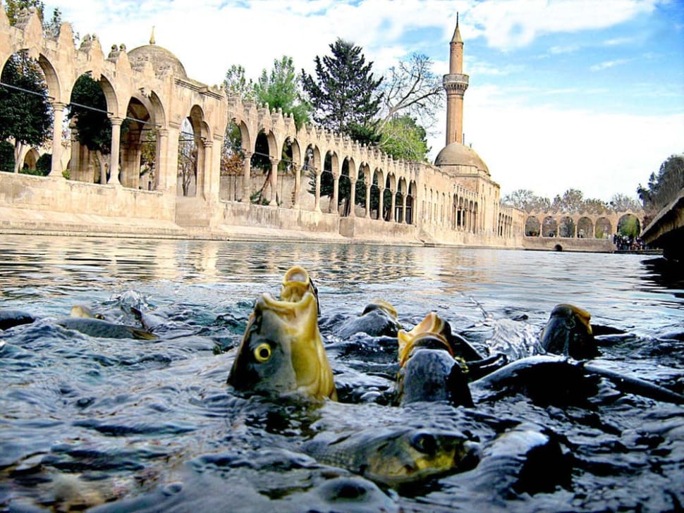 BalÄ±klÄ± GÃ¶l (Abraham Pool) in Turkey - Best Time
