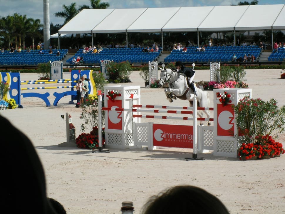 Winter Equestrian Festival in Florida - Best Season