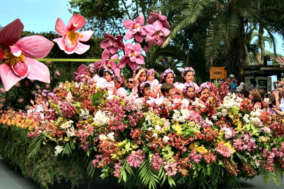 Madeira Flower Festival 2019 Dates Map   Py4mc60fuhc8kg5yus6v