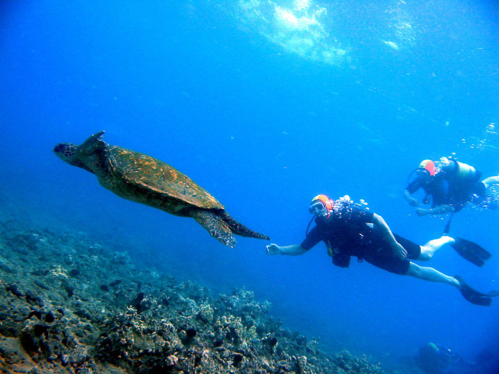 best time to visit hawaii for diving